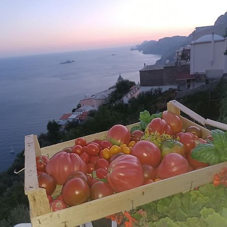 Villa Antica Macina Positano Kültér fotó