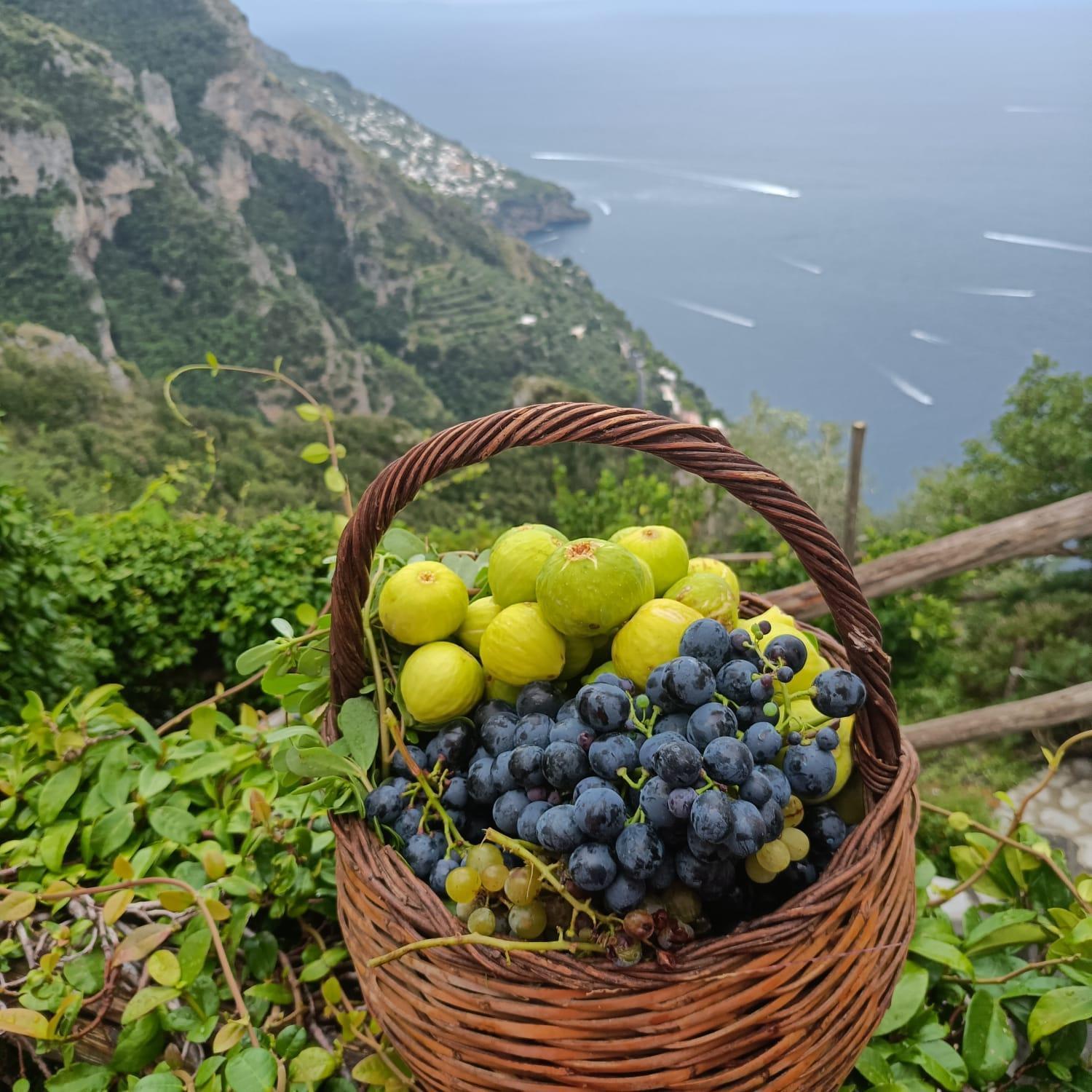 Villa Antica Macina Positano Kültér fotó