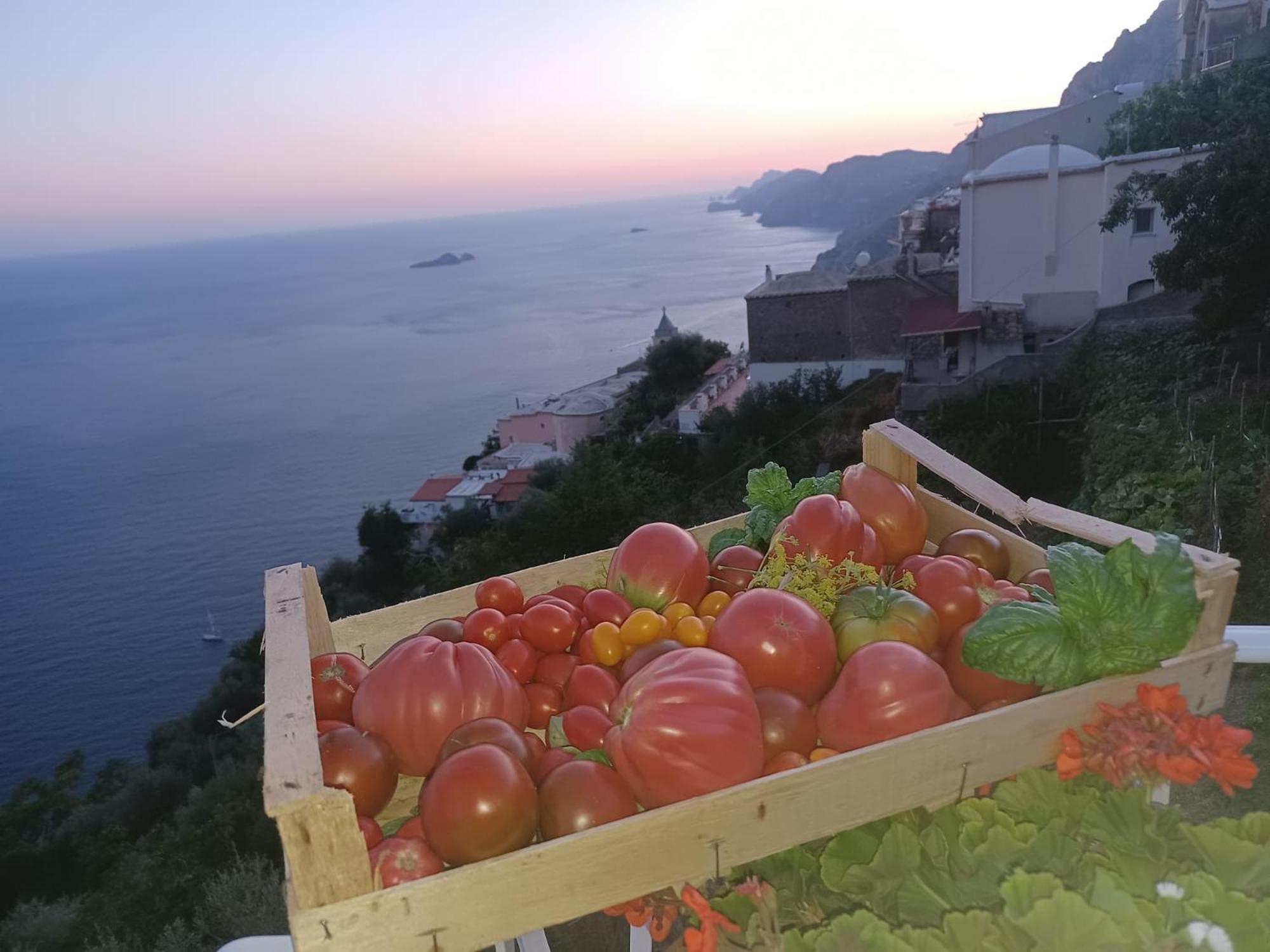Villa Antica Macina Positano Kültér fotó