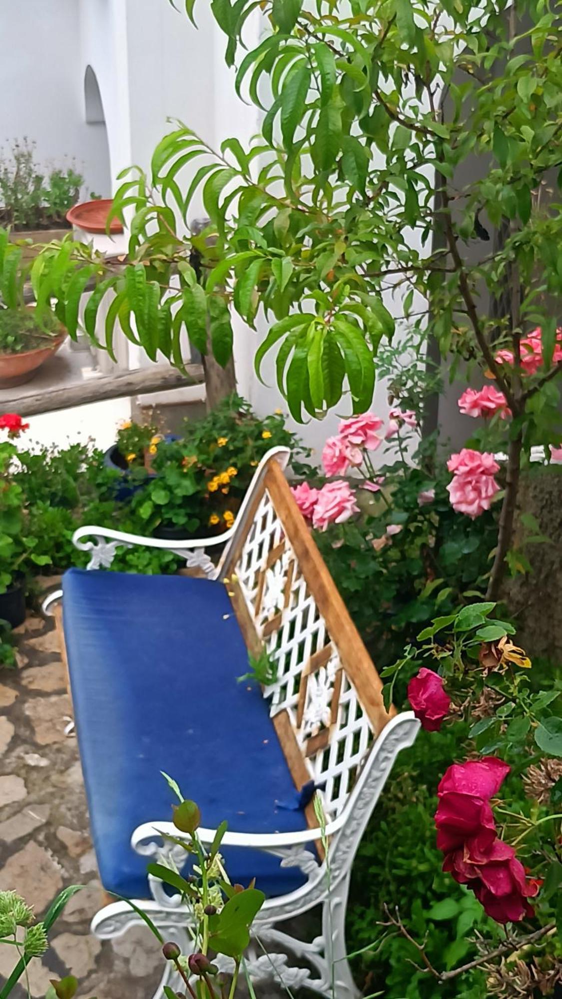 Villa Antica Macina Positano Kültér fotó