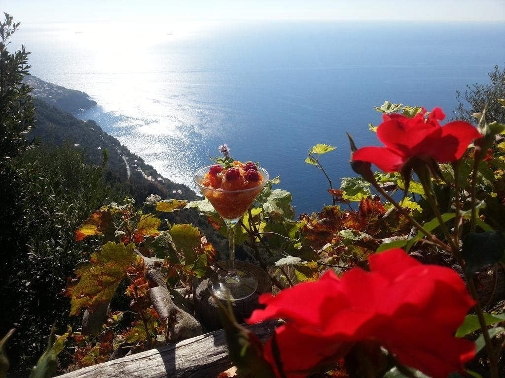 Villa Antica Macina Positano Kültér fotó